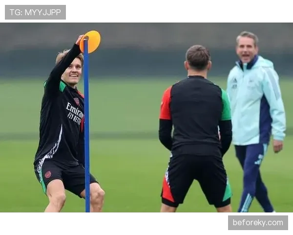 厄德高的数据含金量体现在哪些关键维度？