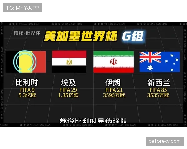 世界杯G组关键数据统计